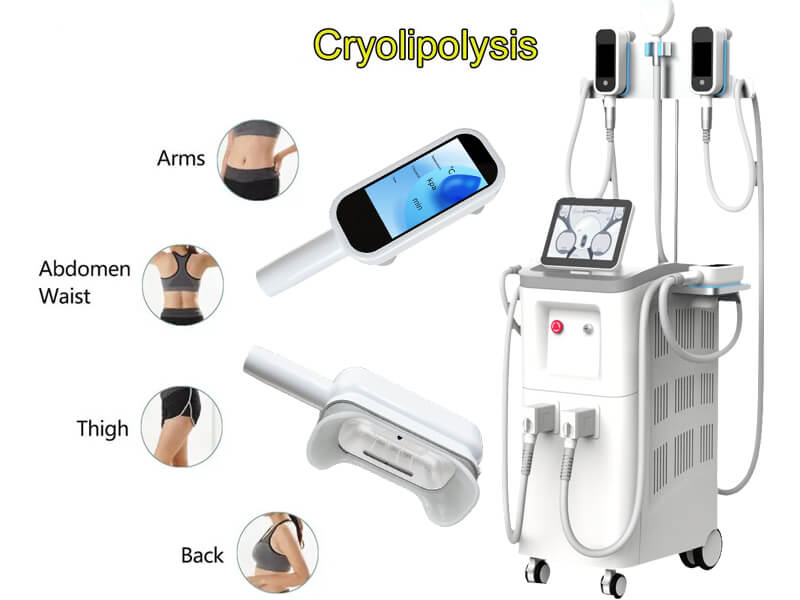 cryolipolysis slimming machine