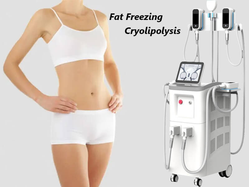 fat freezing cryolipolysis machine